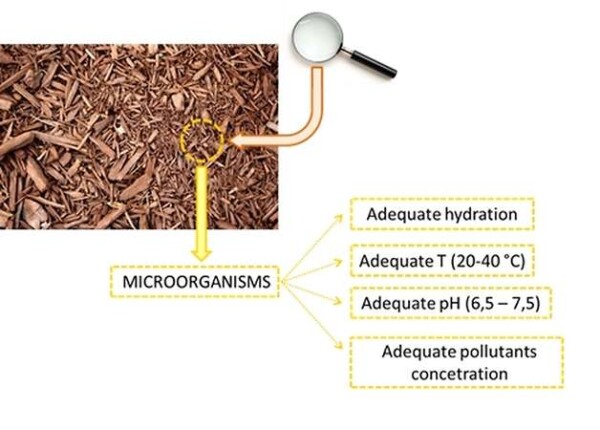 Biofiltration, requirements for the bed