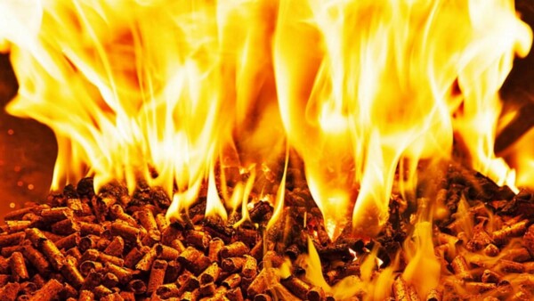 Fumes abatement from biomass power plants